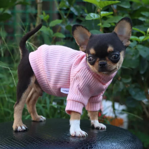 Vista 5 de LOPHIPETS Suéteres de cuello alto para perros pequeños para Chihuahua Teacup Yorkie Cachorro Ropa para Gatos - Rosa Claro Brillante/XXS