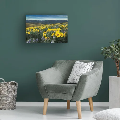 Vista 4 de Trademark Fine Art WAP01796-C1624GG Methow Valley Wildflowers IV, 16x24