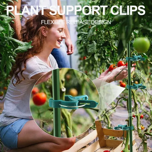 Vista 5 de Yinghezu 120 clips de soporte para plantas, flores y vides, clips de soporte para plantas de tomate de jardín para apoyar tallos, enredaderas