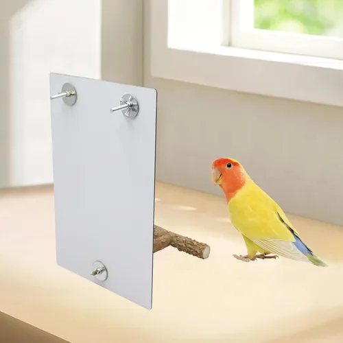 Vista 2 de Juguete de espejo de pájaro con soporte de perca, espejo de perico de loro con campana oscilante para pájaros, accesorios de jaula de pájaros