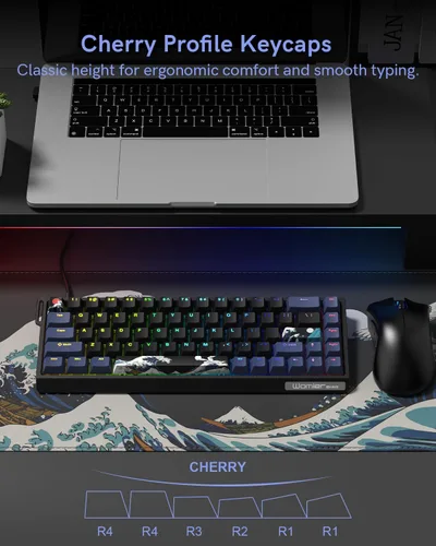 Vista 7 de SK68 - Teclado para juegos al 65%, mini teclado retroiluminado con cable con enchufe 100% intercambiable en caliente, 68 teclas, teclado con cable