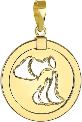 Vista 2 de Jewelry America Colgante redondo reversible de oro amarillo de 14 quilates con signo del zodiaco de acuario, Oro amarillo Diamante