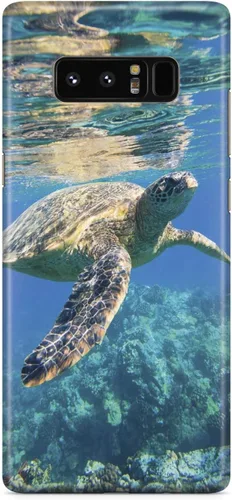Vista 19 de Inspired Cases - Compatible con iPhone 8 Plus - Funda protectora con textura 3D para Apple iPhone 8 Plus - Tortuga marina submarina