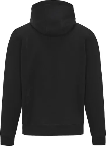 Vista 4 de Mercedes AMG Petronas Formula One Team - Colección Oficial de Productos de Fórmula 1 - Sudadera con capucha Stealth Logo