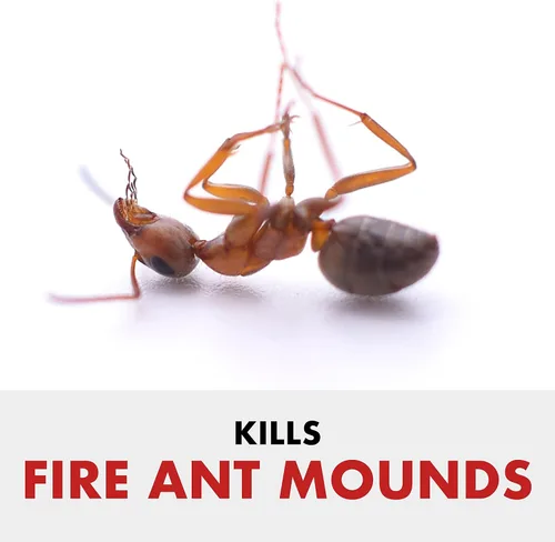 Vista 2 de Spectracide Fire Ant Shield Gránulos de Protección para Jardín - 10 libras, Paquete de 4
