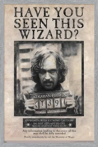 Vista 19 de Trends International El Mundo Mágico: Harry Potter - Póster de Buscado de Sirius Black, Póster de Pared, 14.725" x 22.375", Versión con Marco
