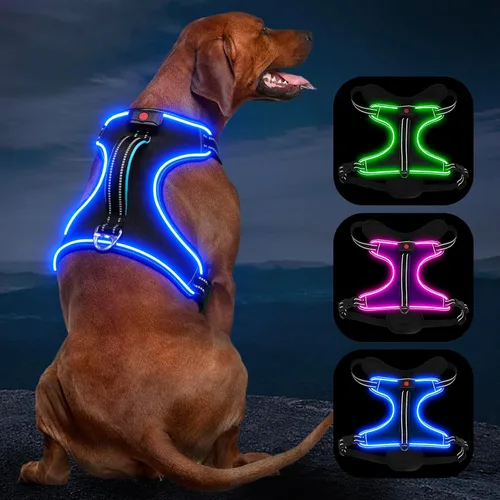 Vista 6 de Arnés para perro iluminado con batería pequeño