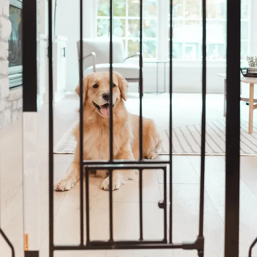 Vista 5 de Carlson - Puerta extra alta para mascotas con puerta pequeña para mascotas, para aberturas de 29 a 39 pulgadas de ancho, incluye kit de extensión