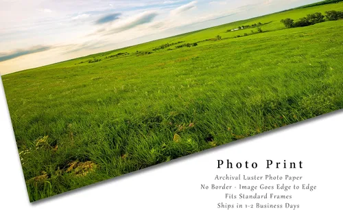 Vista 2 de Great Plains Photography Print (Not Framed) Picture of Tallgrass Prairie on Spring Day in the Kansas Flint Hills Prairie Wall Art Nature Decor