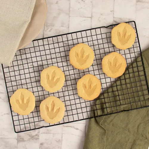 Vista 3 de T-Rex Footprint Fossil cortador de galletas, 1 pieza - Bakerlogy