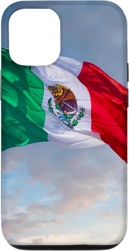 Vista 26 de iPhone 16 Mexico Flag Graphic Mexican Case