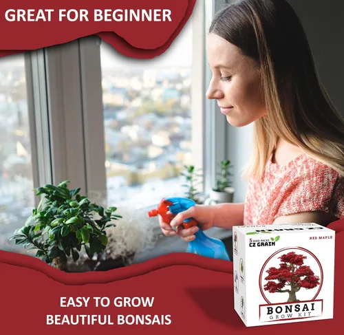 Vista 5 de Kit de árbol bonsái – Cultiva 5 especies de árbol bonsái con nuestro kit de plantas todo en uno: macetas de bonsái y pellets de turba, incluyendo un