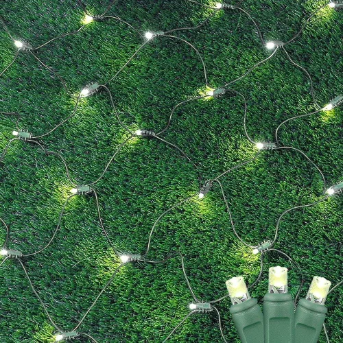 Vista 4 de Novelty Lights Luces de red de 2 x 10, 100 LED de color blanco cálido con espacio de 4 pulgadas, bombillas de gran angular de 0.197 in en cable