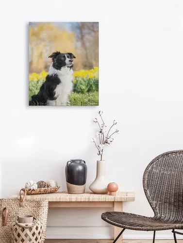 Vista 3 de YEEIFFD Kits de pintura de diamantes para adultos, Border Collie Perros DIY 5D Redondo Completo Taladro Diamante Puntos Pintura con Diamantes