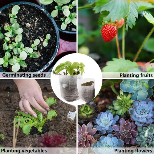 Vista 4 de 200 bolsas de cultivo para vivero, bolsa de cultivo pequeña de 5.8 x 5 pulgadas para plantas, macetas de tela, papa, flor, tomate para principiantes