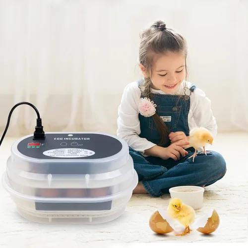 Vista 7 de HBlife Incubadora digital de huevos para incubar 9-12 huevos de pollo, codorniz y pato, con giro de huevos completamente automático y pantalla