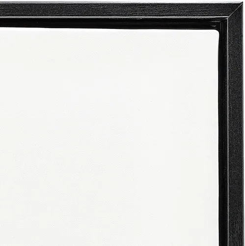 Vista 5 de Stupell Industries Ziwei Li - Papel higiénico con patrón glamoroso, arte en lienzo con marco flotante, negro, 17 x 21 pulgadas, fácil de colgar