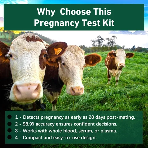 Vista 6 de Kit de prueba de embarazo bovino: incluye 2 pruebas, resultados rápidos en 5-20 minutos para vacas lecheras y vacas de res, sangre entera, suero