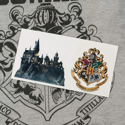 Vista 6 de Popfunk Colección clásica de sudaderas y calcomanías de Harry Potter Houses