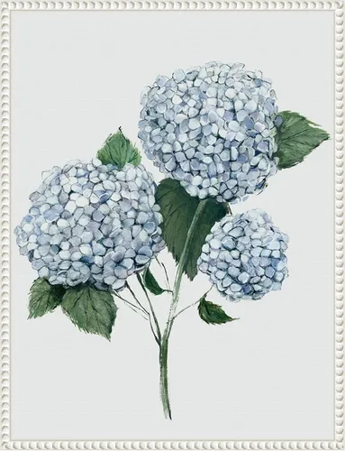 Vista 12 de Amanti Art Framed Canvas Wall Art 24x18 Fresh Blue Hydrangea II by Hannah Dawson, Framed Wall Art Canvas, Flowers Artwork, Traditional Decor, Medium