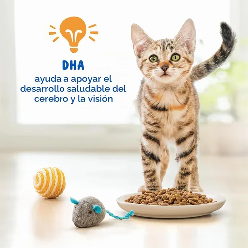 Vista 4 de Alimento seco para gato con fórmula nutritiva de Purina Kitten Chow, 14 lb