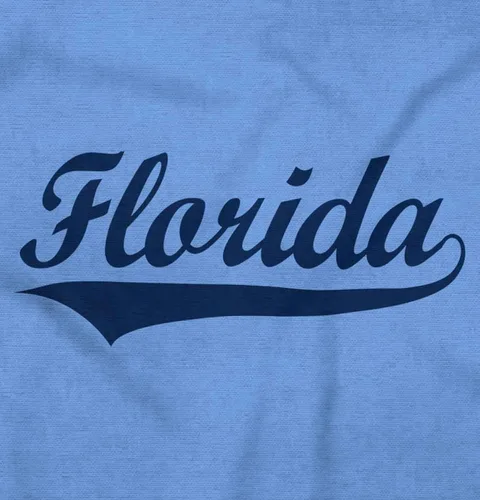Vista 2 de Brisco Brands Florida FL - Sudadera con capucha clásica atlética para mujer y hombre, sunshine