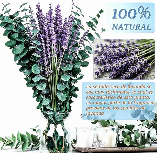 Vista 6 de Paquete de 110 unidades de eucalipto seco y lavanda y bolsita para colgar