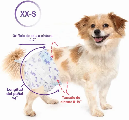 Vista 6 de Pet Soft Pañales desechables para perras – Pañales desechables para perritos con indicador de humedad, pañal para cachorros y gatos súper