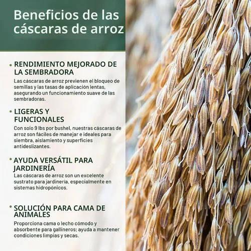 Vista 3 de Nature's Seed Cascos de arroz para jardinería, plantas y ropa de cama de pollo, 45 libras