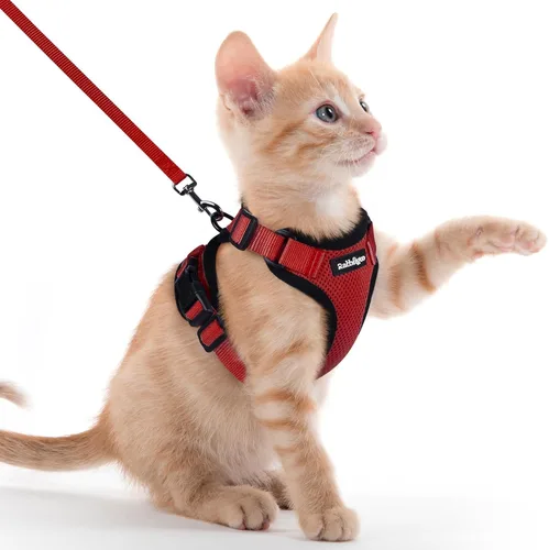 Vista 94 de rabbitgoo Cat Harness and Leash Set, Escape Proof Vest, XXS, Berry Pounce Soft Breathable Mesh, No-choke Adjustable Fit, Snap Buckles, Sturdy