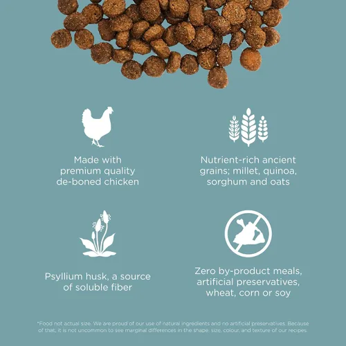 Vista 5 de Go! Solutions Digestión + salud intestinal, comida seca para gatos, receta de pollo con granos antiguos, bolsa de 3 libras Fiber-Rich Kibble for