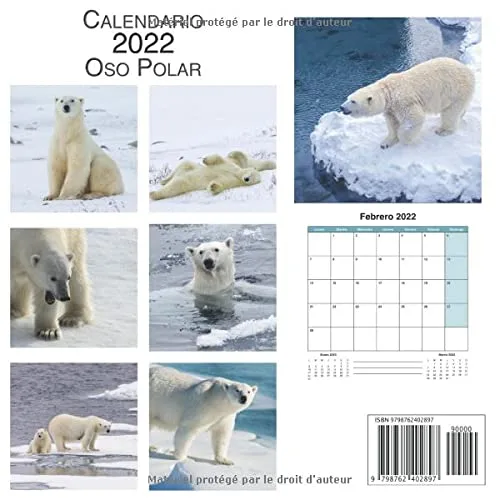 Vista 2 de Calendario Oso Polar Calendario de pared español mensual 12 meses (enero a diciembre) 22 x 22 cm (French Edition)