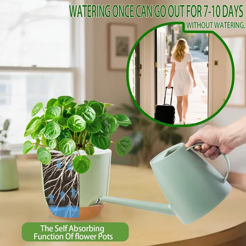 Vista 7 de Macetas de orquídeas de riego automático para plantas de interior, macetas para orqudeas de 5.8 pulgadas, macetas para plantas de interior con Verde