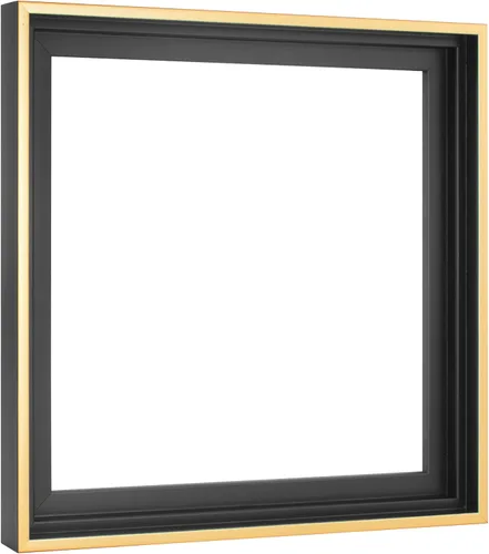 Vista 25 de MCS - Marco flotante de lona, 12 x 16, negro y dorado, paquete de 1