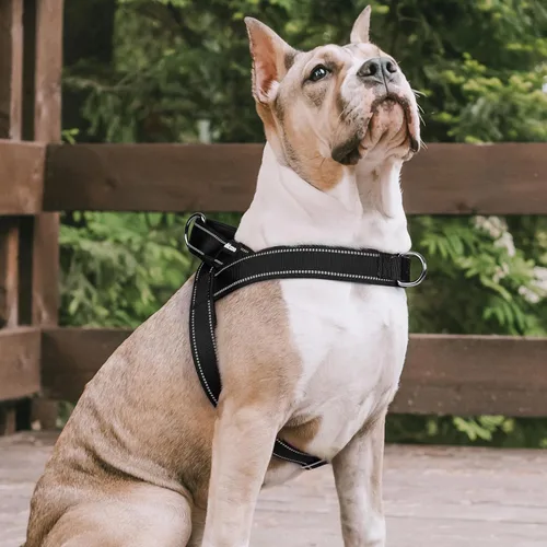 Vista 9 de rabbitgoo Arnés para perro sin tirones, ajuste rápido para perros de tamaño mediano con mango acolchado suave, chaleco reflectante ajustable