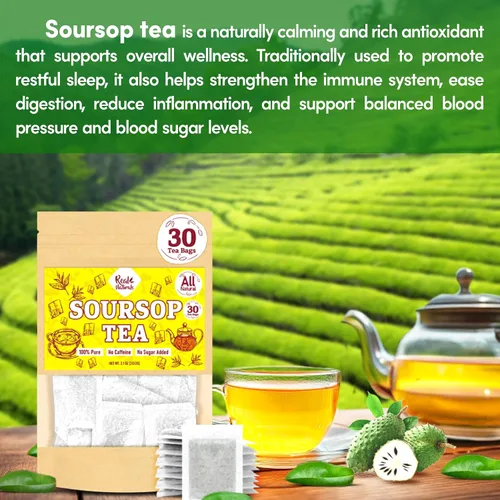 Vista 3 de Bolsas de té de guanábana premium. Hechas de hojas de guanábana pura y graviola (30 bolsas) Té de hoja guanábana. Sin cafeína, sin gluten, sin