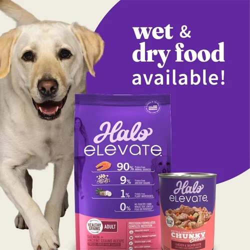 Vista 6 de Halo Elevate - Comida húmeda para perros, hervidor de hervidor de pollo y salmón grueso cocido, comida enlatada de granos saludables para perros