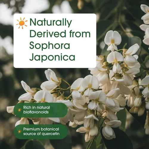 Vista 6 de NatureBell Quercetina 1000 mg por porción 240 cápsulas, suplemento de quercetina ultra fuerte Bioflavonoides para un apoyo inmunológico
