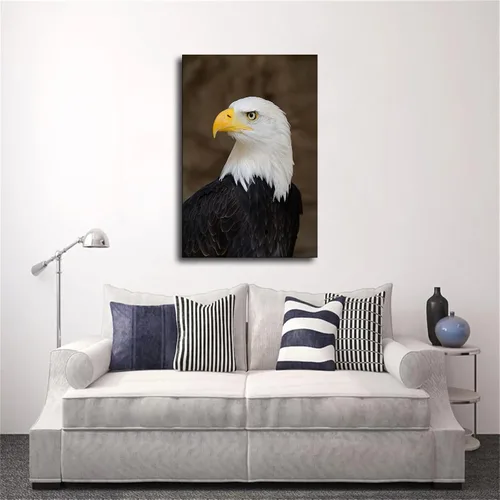 Vista 3 de SinYor Póster de retrato de un águila calva patriótico de Estados Unidos, arte de pared moderno para habitación, sala de estar, baño, cocina
