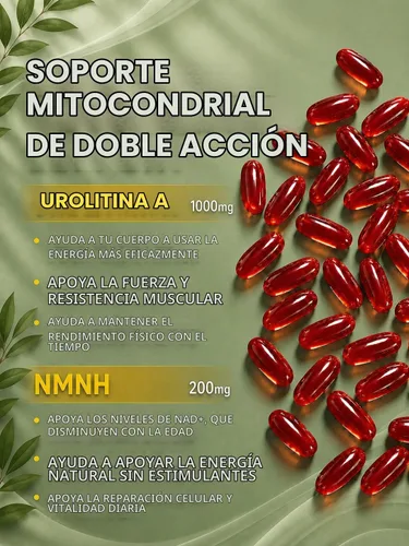 Vista 2 de Urolitina Un suplemento NMNH para el envejecimiento mitocondrial, saludable