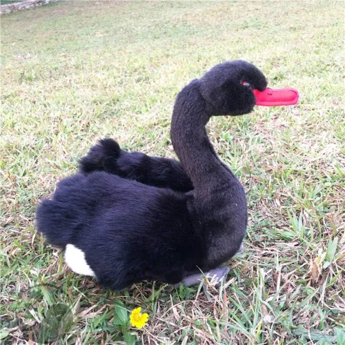 Vista 3 de TAMMYFLYFLY Peluche de cisne (negro)