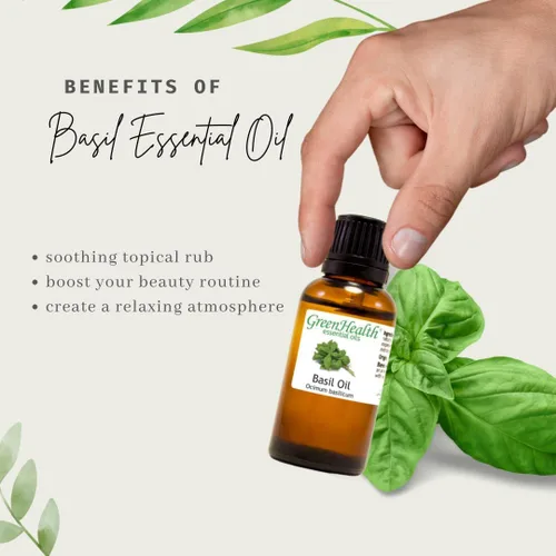 Vista 5 de Albahaca – 1OZ – Aceite Esencial 100% puro – Greenhealth