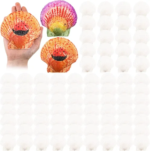 Vista 8 de Glikceil 100 unidades de conchas de vieira a granel para manualidades