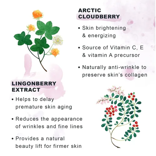 Vista 6 de Lumene Ajaton Radiant Youth Night Cream - Hidratante rejuvenecedor antienvejecimiento con antioxidantes, crema facial para líneas finas y arrugas
