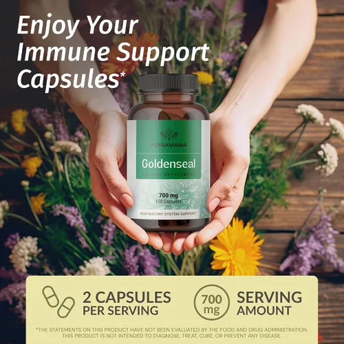 Vista 2 de HERBAMAMA Goldenseal - Cápsulas de raíz de 700 mg - Sistema respiratorio y apoyo inmunológico con suplemento en polvo de sello dorado, vegano, sin