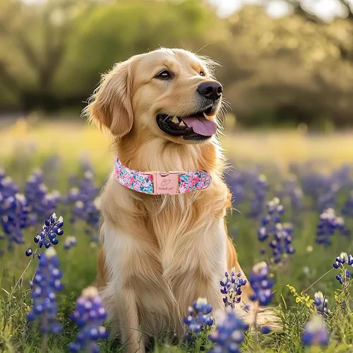 Vista 169 de Collar para perros del 4 de julio, collares patrióticos azules para cachorros y perros pequeños, ligero y ajustable 1776 collares para cachorros