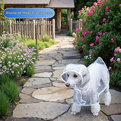 Vista 7 de Poncho de lluvia transparente para perros pequeños y medianos, impermeable pesado con agujero oculto para la correa y broches ajustables, capa