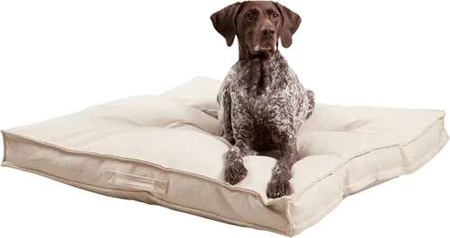 Vista 21 de Happy Hounds Milo - Cama cuadrada copetuda para perro, musgo, mediano (32 x 32 pulgadas)