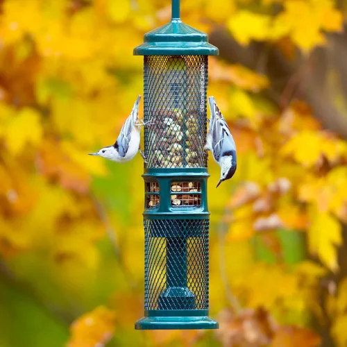 Vista 2 de Comedero para Nueces Squirrel Buster - Comedero para Pájaros a Prueba de Ardillas para Nueces y Frutas, Dos Mallas