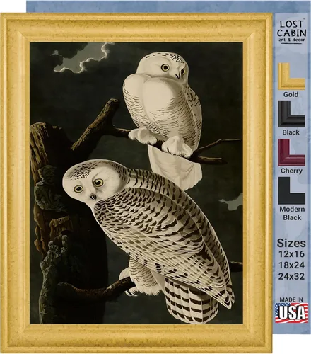 Vista 34 de Lost Cabin American Flamingo por James Audubon Impresión en marco biselado negro Reproducción de pintura de obras de arte finas Póster